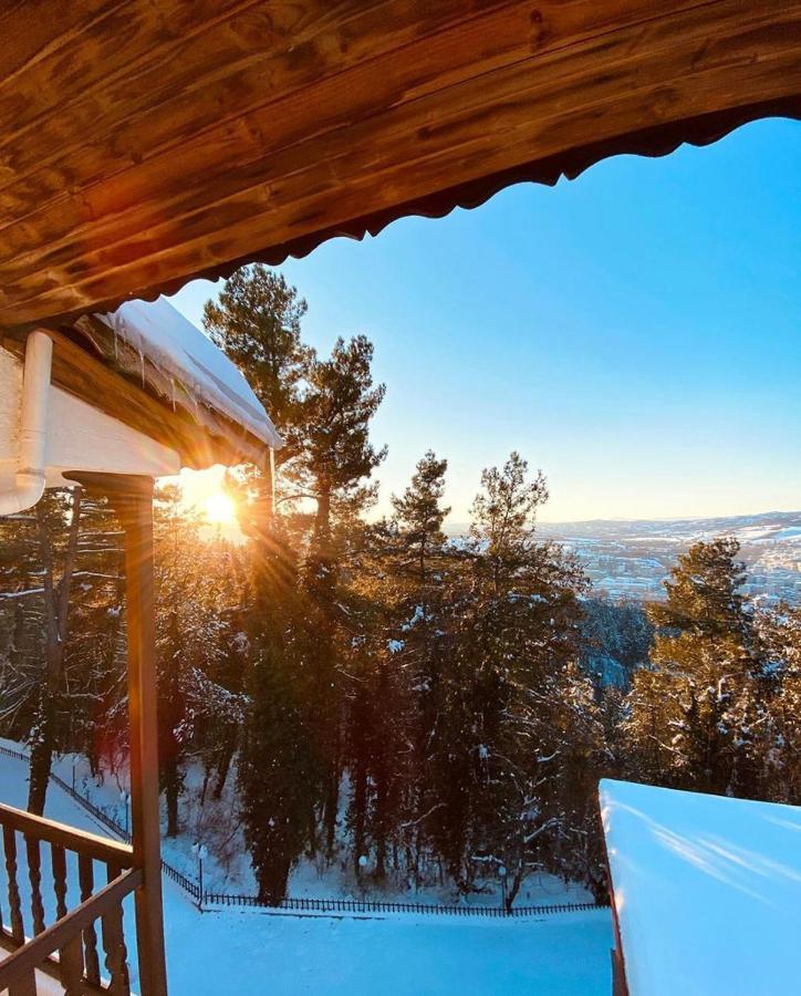 Milionis Forest Hotel Grevena Exterior photo